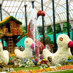 Dinasaurs & Ducks- Lalbagh Flower Show 2012, Bangalore