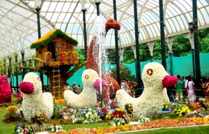 Dinasaurs & Ducks- Lalbagh Flower Show 2012, Bangalore
