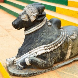 Nandi, Lalbagh Flower Show, Bangalore