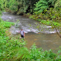 Stream, Kalasa, near Chikmagalur