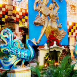 Janmashtami-Lord Krishna festival