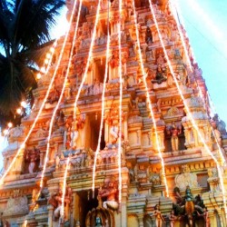 Janmashtami- Lord Krishna Festival