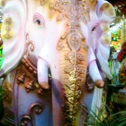 Janmashtami- Lord Krishna Festival