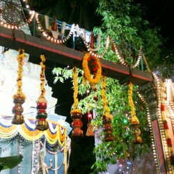 Janmashtami, Lord Krishna Festival