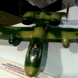 A10 Thunderbolt, Indian Airforce