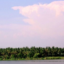 Kaveri River