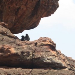 Badami Cave Temple-near Bijapur
