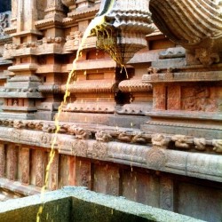 Turmeric water, Big Temple - Thanjavur