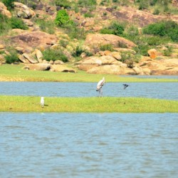 Melkote Temple Pond
