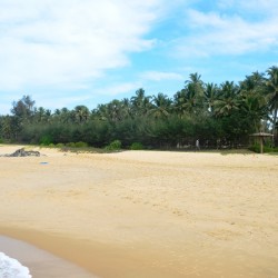 Dusk-Turtle Bay near Udupi