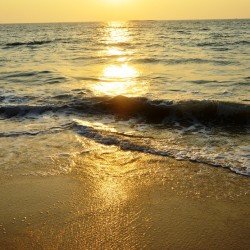 Dusk time -Turtle Bay near Udupi