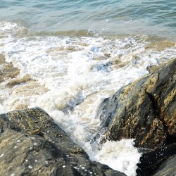 Gushing Arabian Sea-Turtle Bay near Udupi