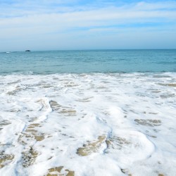 Surf-Turtle Bay near Udupi