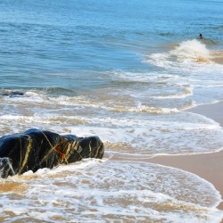 Turtle Bay beach near Udupi