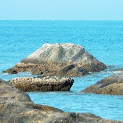Turtle Bay near Udupi
