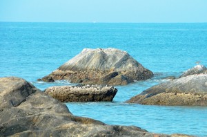 Turtle Bay near Udupi