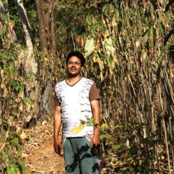 sahyadri bamboo forest